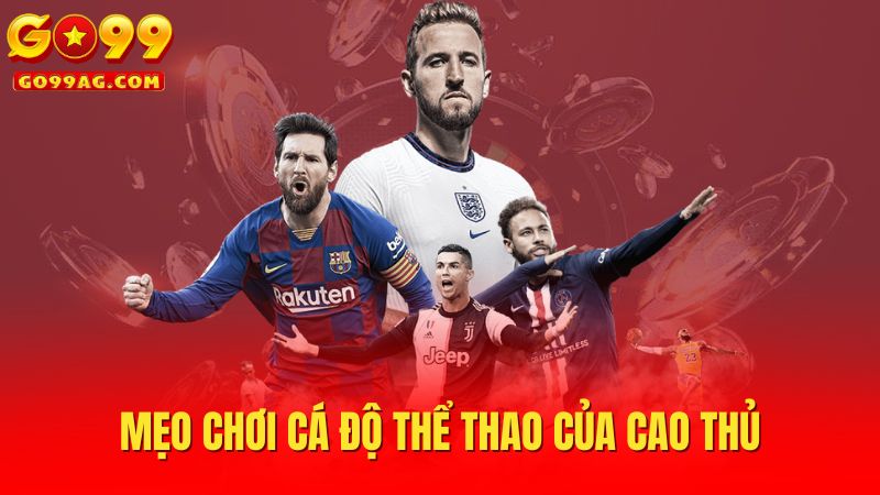 Mẹo chơi cá độ thể thao của cao thủ